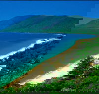 Cairns Reef and Rainforest Combo Daintree Rainforest and the Great Barrier Reef - Kingaroy Accommodation