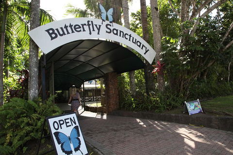 Kuranda Day Trip From Port Douglas Upgrade To Skyrail & Scenic Train Available - Kingaroy Accommodation 0