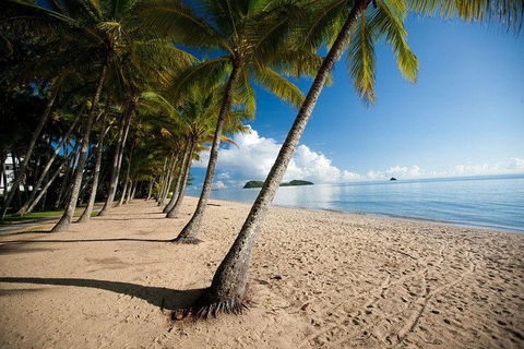 Kuranda Day Trip From Port Douglas Upgrade To Skyrail & Scenic Train Available - Kingaroy Accommodation 1