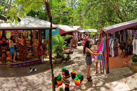 Kuranda Day Trip From Port Douglas Upgrade To Skyrail & Scenic Train Available - Kingaroy Accommodation 2