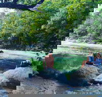 Afternoon Half-Day Daintree Rainforest and River Tour - Kingaroy Accommodation