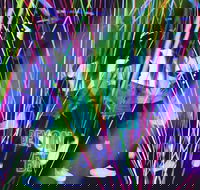 Infinity Attraction - Admission - Kingaroy Accommodation