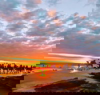 1 Hour Broome Sunset Camel Tour - Kingaroy Accommodation