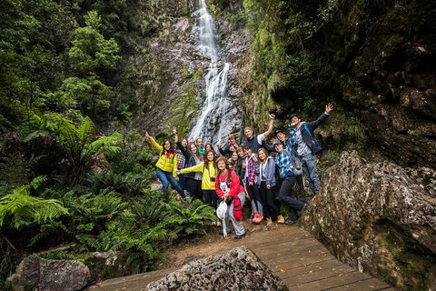5-Day Lap Of Tasmania Tour From Hobart (flexible Ticket) - Kingaroy Accommodation 0
