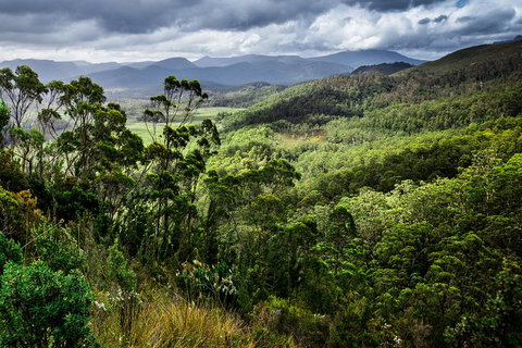 5-Day Lap Of Tasmania Tour From Hobart (flexible Ticket) - Kingaroy Accommodation 2