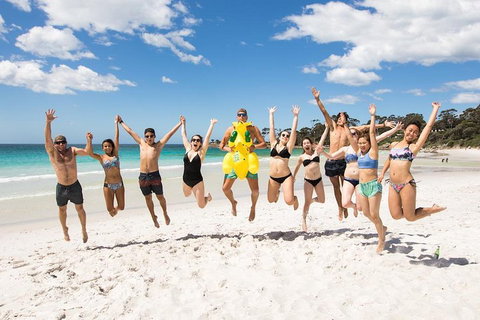 5-Day Lap Of Tasmania Tour From Hobart (flexible Ticket) - Kingaroy Accommodation 4
