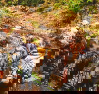 Full-day Springbrook National Park Tour from the Gold Coast - Kingaroy Accommodation