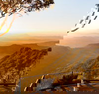 O'Reilly's  Lamington National Park incl. Alpaca Farm  Vineyard - Kingaroy Accommodation