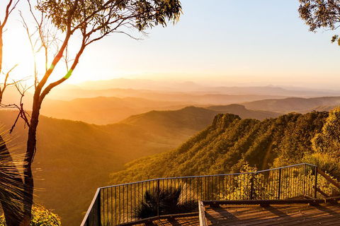 O'Reilly's & Lamington National Park Incl. Alpaca Farm + Vineyard - Kingaroy Accommodation 0
