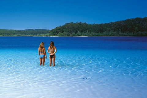 Fraser Island 4WD Tour From Noosa - Kingaroy Accommodation 2
