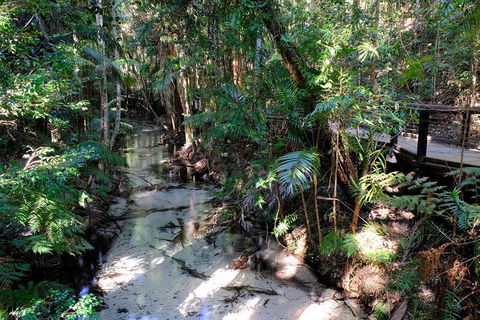Fraser Island 4WD Tour From Rainbow Beach - Kingaroy Accommodation 0