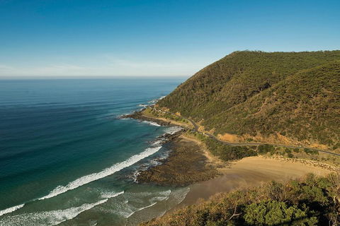 Great Ocean Road Adventure - Private Tour - Reverse - Kingaroy Accommodation 2