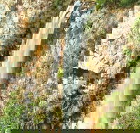 Private Tour - Rainforest  Waterfalls Extravaganza - Kingaroy Accommodation