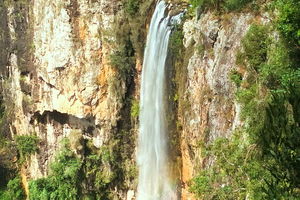 Private Tour - Rainforest & Waterfalls Extravaganza