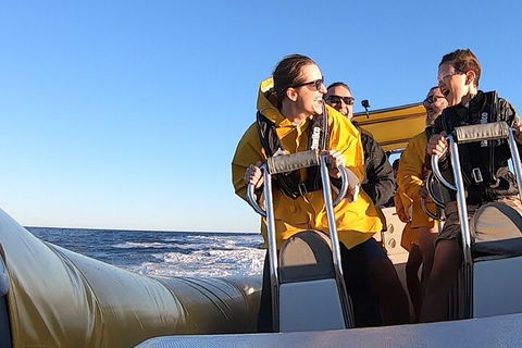 Noosa Oceanrider - Adventure Tour - Kingaroy Accommodation 0