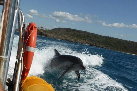 Noosa Oceanrider - Adventure Tour - Kingaroy Accommodation 1