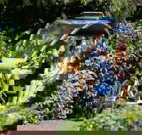 Adelaide 90-Minute Pedicab Tour Scenic Green  River Experience - Kingaroy Accommodation