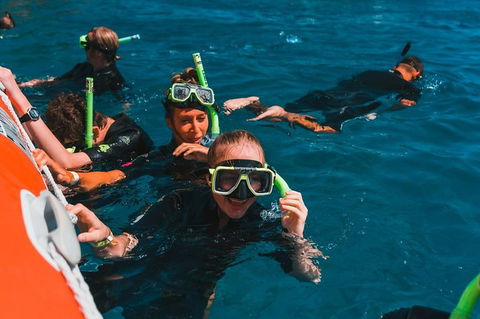 Whitehaven Beach And Hill Inlet Lookout Full-Day Snorkeling Cruise By High-Speed Catamaran - Kingaroy Accommodation 3