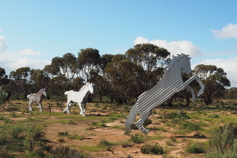 Wave Rock, Wild Flowers And Astro Photography - Kingaroy Accommodation 5
