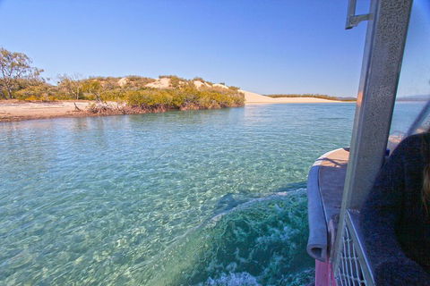 1770 Coastline Tour By LARC Amphibious Vehicle Including Picnic Lunch - Kingaroy Accommodation 5