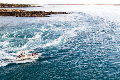 Giant Tides Tour - Cygnet Bay Pearl Farm - Kingaroy Accommodation 4
