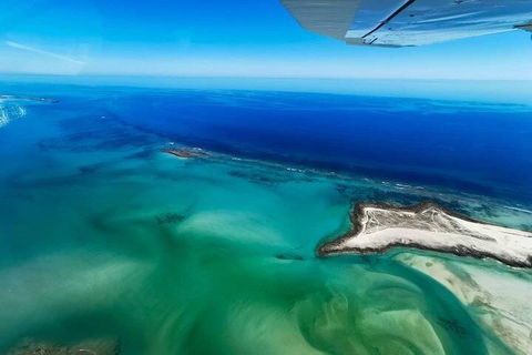 Wet Season Incredible Islands Tour - Horizontal Falls & Cygnet Bay Pearl Farm - Kingaroy Accommodation 4
