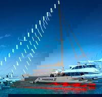 Passions of Paradise Great Barrier Reef Snorkel and Dive Cruise from Cairns by Luxury Catamaran - Kingaroy Accommodation