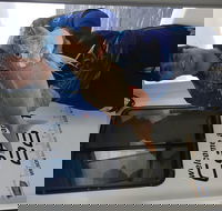 3/4 Day 7 Hour Offshore Fishing Charter - Kingaroy Accommodation