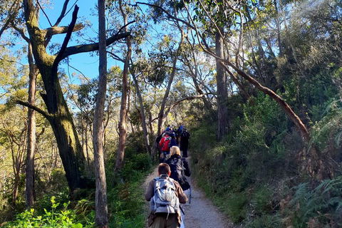 Self-Guided Waterfall Gully To Mount Lofty Hike From Adelaide - Kingaroy Accommodation 1