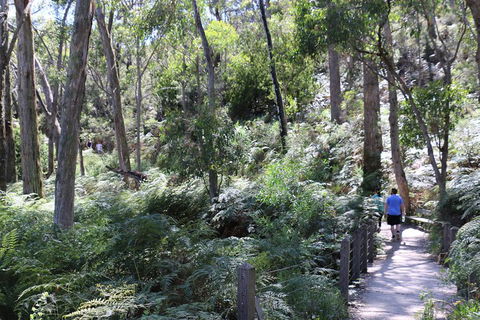 Self-Guided Waterfall Gully To Mount Lofty Hike From Adelaide - Kingaroy Accommodation 2