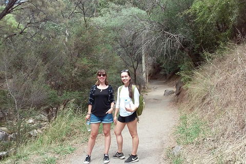 Self-Guided Waterfall Gully To Mount Lofty Hike From Adelaide - Kingaroy Accommodation 4