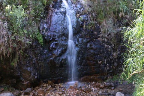 Self-Guided Waterfall Gully To Mount Lofty Hike From Adelaide - Kingaroy Accommodation 5