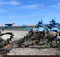 Adelaide City to Sea Bike Tour - Kingaroy Accommodation