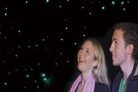 Natural Bridge Glow Worm Night Tour From Gold Coast - Kingaroy Accommodation 3