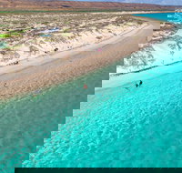 Ningaloo in a Day - Full Day Hike and Snorkel Tour with Lunch - Kingaroy Accommodation