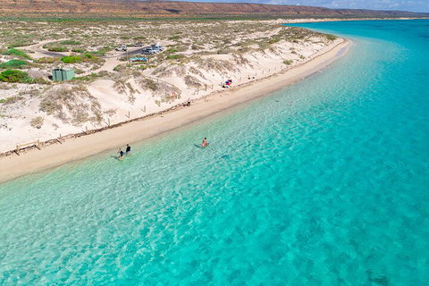 Ningaloo In A Day - Full Day Hike And Snorkel Tour With Lunch - Kingaroy Accommodation 0