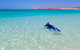 Ningaloo In A Day - Full Day Hike And Snorkel Tour With Lunch - thumb 4
