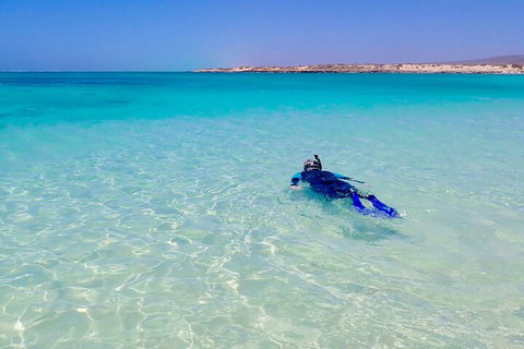Ningaloo In A Day - Full Day Hike And Snorkel Tour With Lunch - Kingaroy Accommodation 4