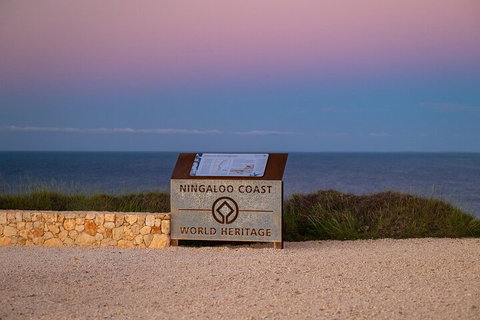 Ningaloo In A Day - Full Day Hike And Snorkel Tour With Lunch - Kingaroy Accommodation 5