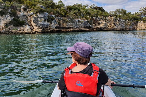 Cliffs And Caves Kayak Tour In Swan River - Kingaroy Accommodation 0