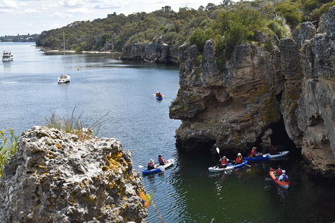 Cliffs And Caves Kayak Tour In Swan River - Kingaroy Accommodation 5