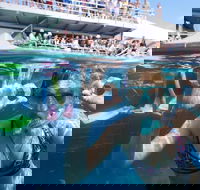 Great Barrier Reef Day Cruise from Cairns Including Snorkeling and Marine Biologist Presentation - Kingaroy Accommodation