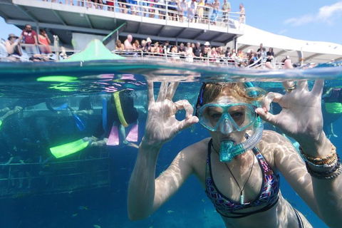 Great Barrier Reef Day Cruise From Cairns Including Snorkeling And Marine Biologist Presentation - Kingaroy Accommodation 0