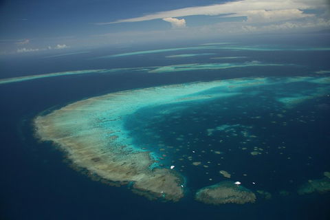Great Barrier Reef Day Cruise From Cairns Including Snorkeling And Marine Biologist Presentation - Kingaroy Accommodation 1