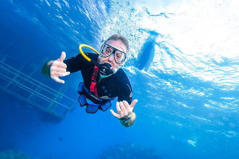 Great Barrier Reef Day Cruise From Cairns Including Snorkeling And Marine Biologist Presentation - Kingaroy Accommodation 3