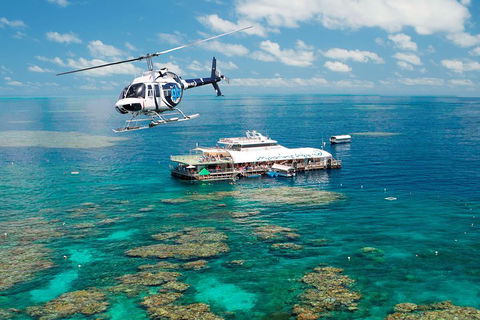 Great Barrier Reef Day Cruise From Cairns Including Snorkeling And Marine Biologist Presentation - Kingaroy Accommodation 5