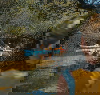 Kayak Tour in Adelaide Dolphin Sanctuary - Kingaroy Accommodation