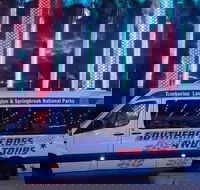 Evening Rainforest  Glow Worm Experience - Kingaroy Accommodation