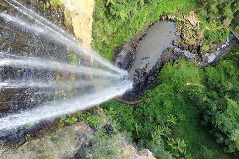 Natural Bridge & Springbrook Waterfalls Tour + Hot Air Balloon With Breakfast - Kingaroy Accommodation 1