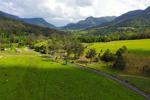 Natural Bridge & Springbrook Waterfalls Tour - Kingaroy Accommodation 2